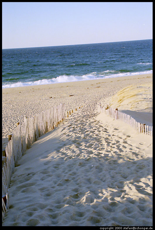 Provincetown dunes, Cape Cod , Mar 2000